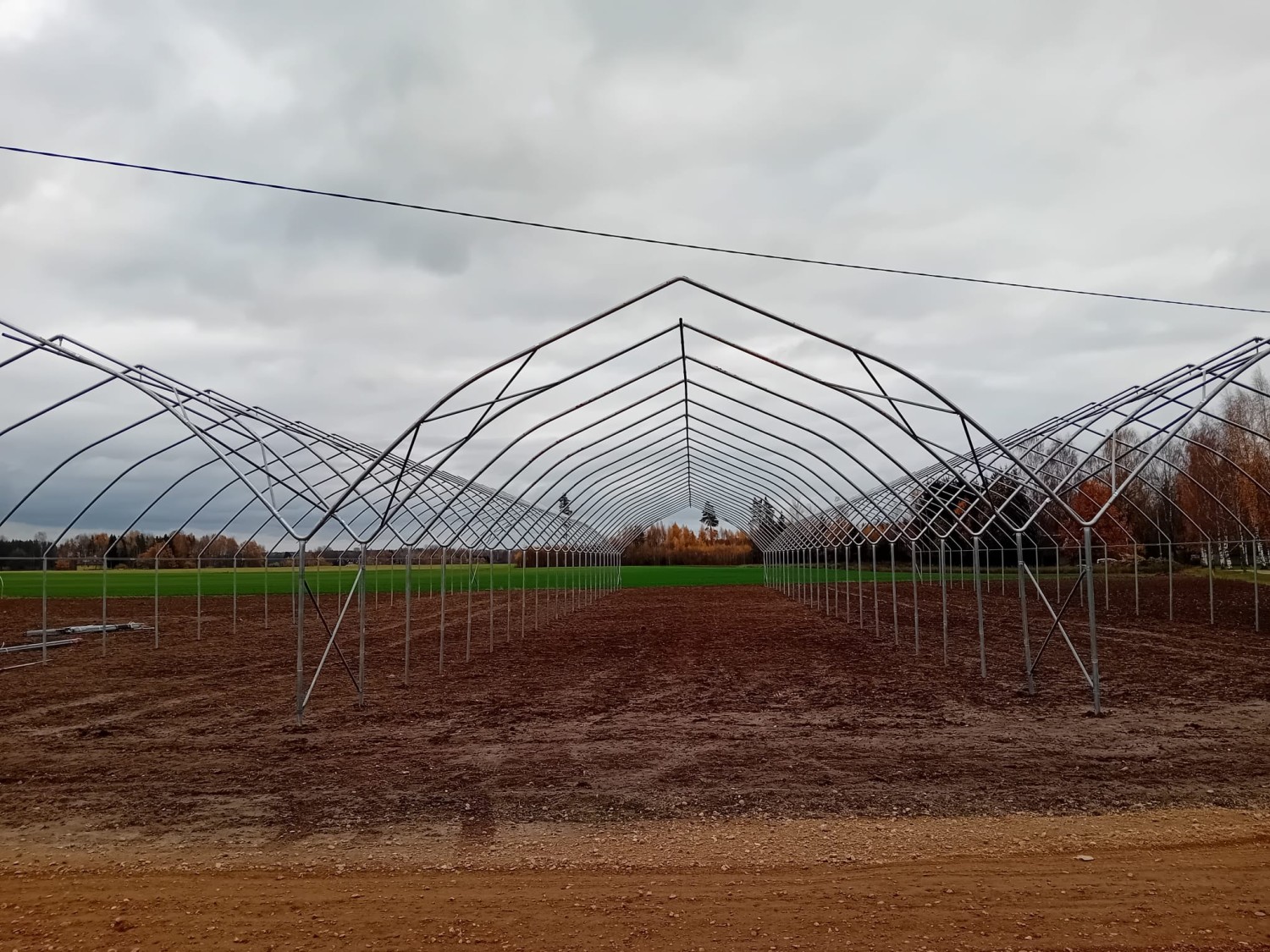 Tuneļu komplekss aveņu audzēšanai 3x9x50.6 metri (ar galiem)