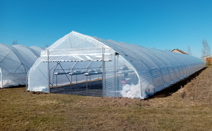 Tunelis zemeņu audzēšanai 8x50 metri (bez galiem)
