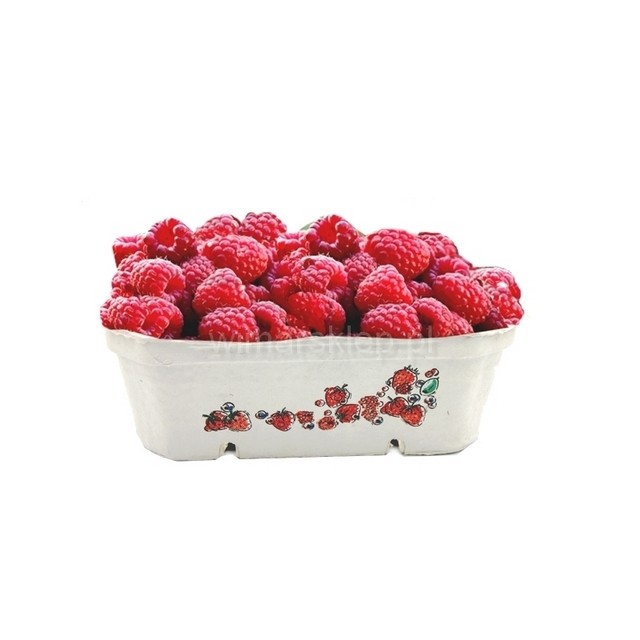 Trauciņš 500gr., papīra