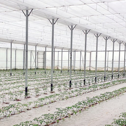 Plēve Ekravit 3.6x300m Plastika Kritis