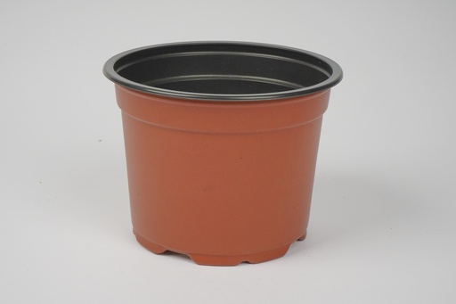 Podiņš 13cm 5' low brūns