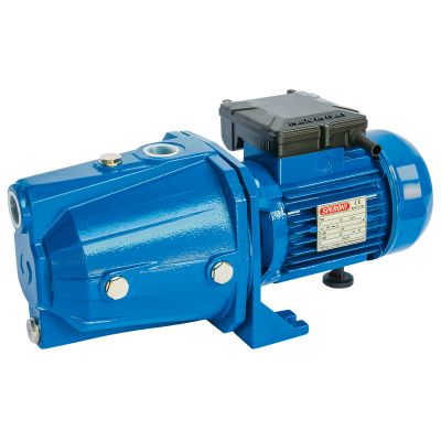 Ūdens sūknis CAM 302 SP HP3 230V